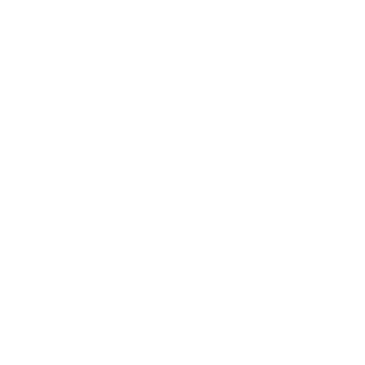 Support + Maintenance