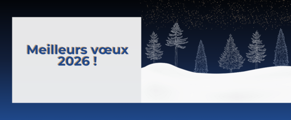 Meilleurs voeux 2026&nbsp;!